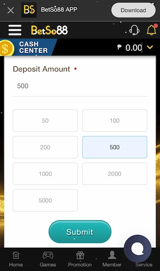 Step 2: Select the amount you want to pay.