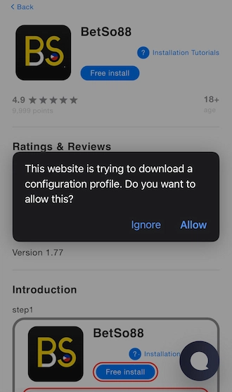 Step 2: the system will notify you that the website is trying to download a profile, press “Allow”