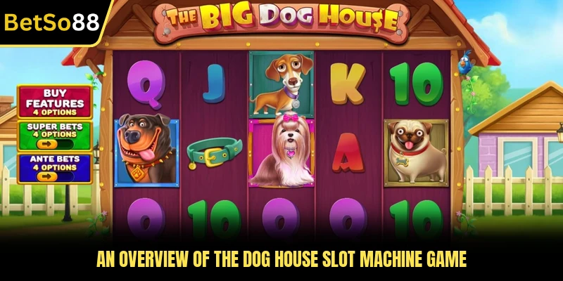 An overview of The Dog House slot machine game