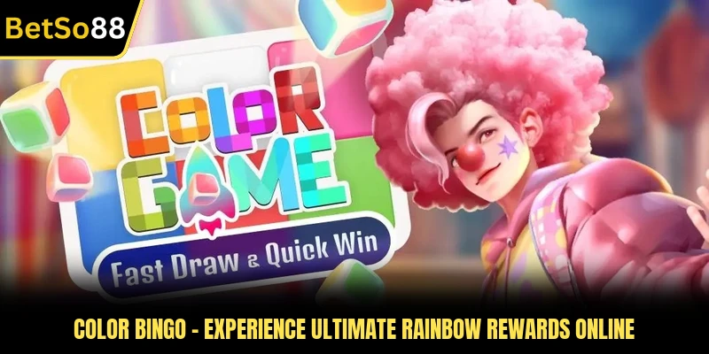 Color Bingo - Experience Ultimate Rainbow Rewards Online