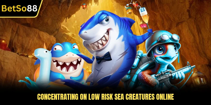 Concentrating on low risk sea creatures online