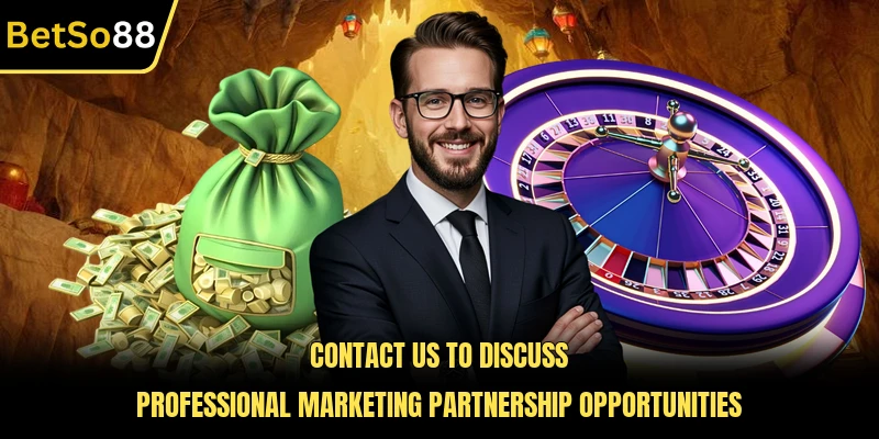 Contact us to discuss professional marketing partnership opportunities