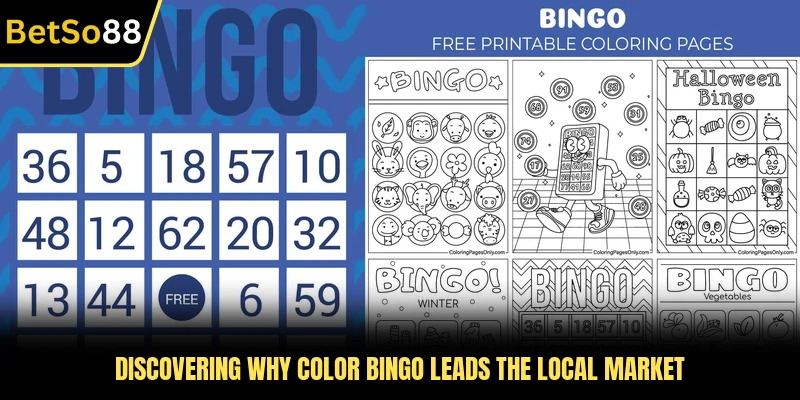 Discovering why Color Bingo leads the local market