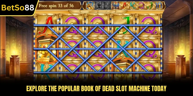 Explore the popular Book of Dead slot machine today