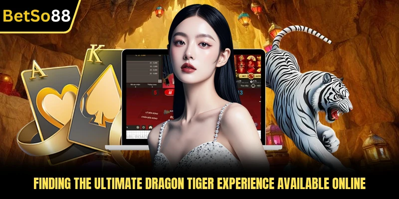 Finding the ultimate Dragon Tiger experience available online