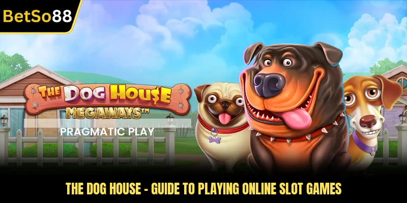 The Dog House - Guide To Playing Online Slot Games